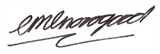 company signature