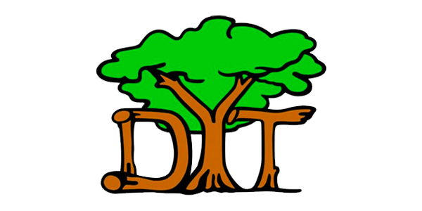 Danson Youth Trust logo