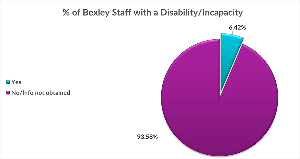 Chart showing the % of workforce with a disability/incapacity (6.42%) compared to those who don't or didn't submit an answer (93.58%)