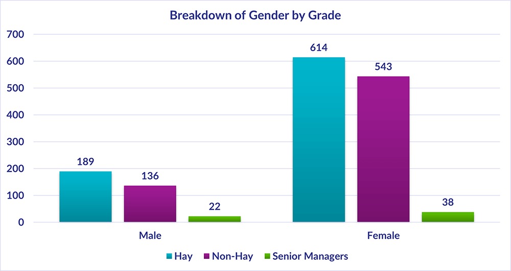 Chart showing the breakdown of gender by grade, a summary of the highest and lowest figures is 614 Hay, 543 Non-Hay and 38 Senior Managers are Female, whereas the lowest figures 189 Hay and 136 Non Hay and 22 Senior Managers are Male