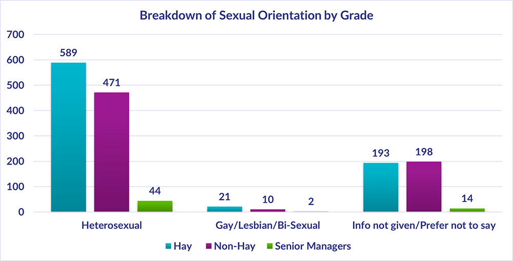 Chart showing the breakdown of sexual orientation by grade, a summary of the highest and lowest figures is 589 Hay, 471 Non-Hay and 44 Senior Managers are Heterosexual, whereas the lowest figures 21 Hay and 10 Non Hay and 2 Senior Managers are Gay/Lesbian/Bi-Sexual or Other