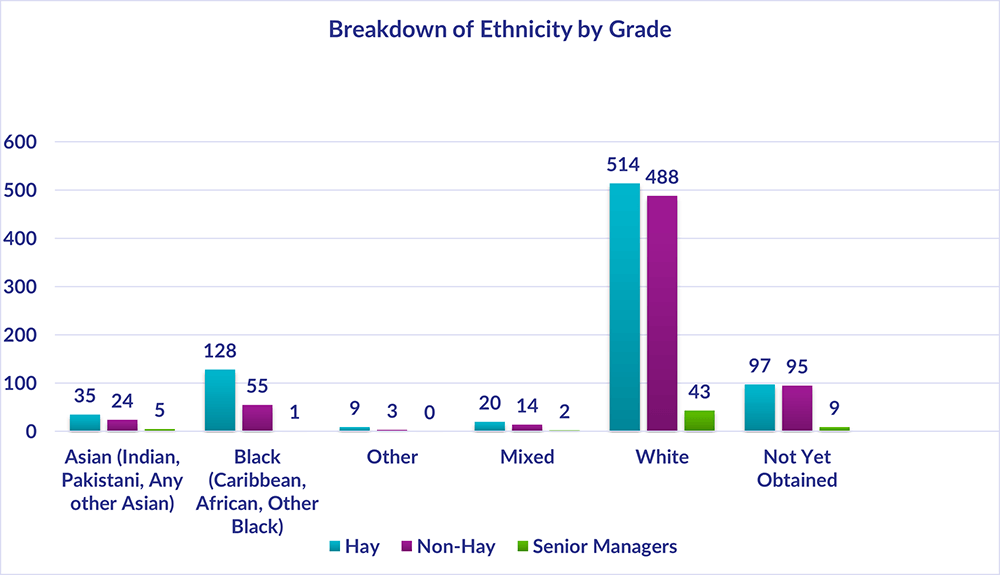 Chart showing the breakdown of ethnicity by grade, a summary of the highest and lowest figures is 514 Hay, 488 Non-Hay and 43 Senior Managers have the ethnicity of White, whereas the lowest figures 9 Hay and 3 Non-Hay have the ethnicity of Other
