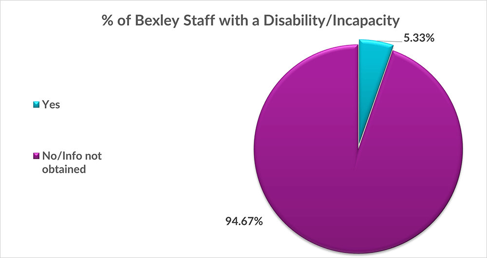 Chart showing the percentage of workforce with a disability/incapacity (5.33%) compared to those who don't or didn't submit an answer (94.67%)