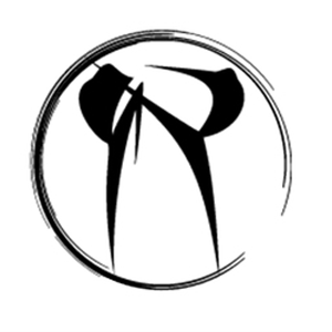 Nemesis academy logo