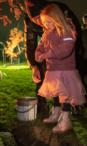 Beuys’ Acorns planting event