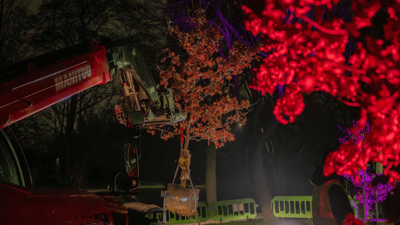 Beuys’ Acorns planting event