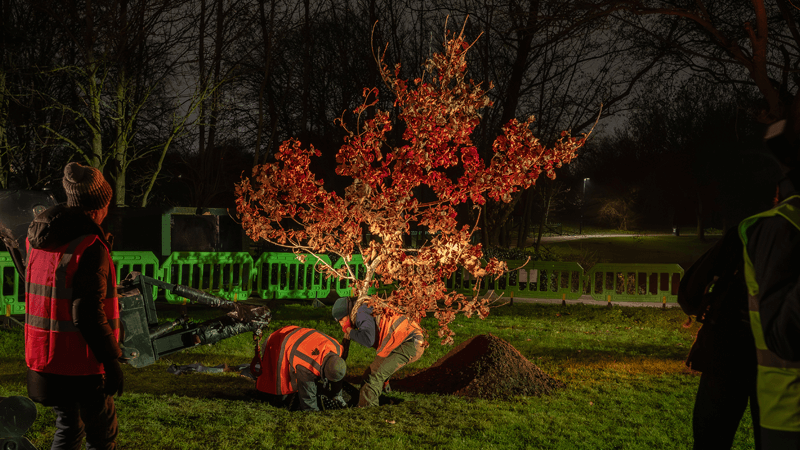 Beuys’ Acorns planting event