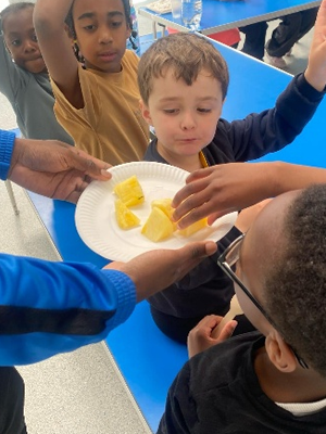 Image of a Nutritional Education activity