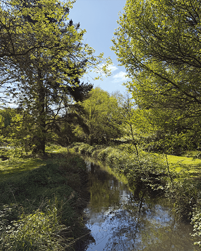Photo of Foots Cray Meadows