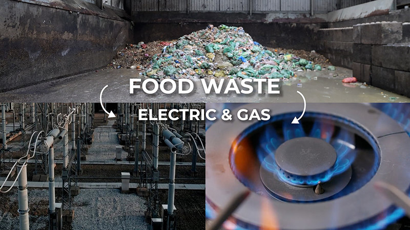 An image of Food Waste