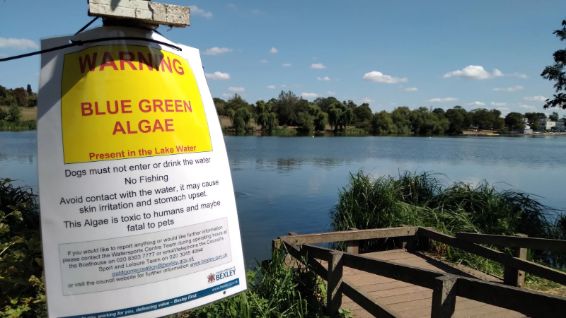 Danson Lake with a 'closed' sign 