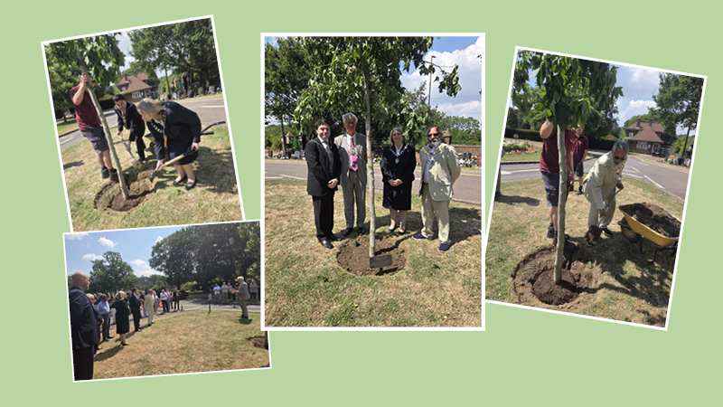 Image of tree being planted by the Mayor's of three Boroughs 