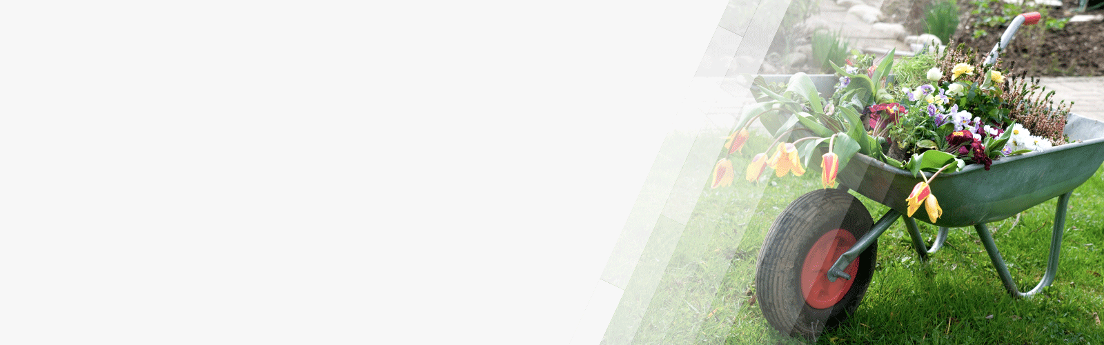 Sign up for garden waste collection London Borough of Bexley