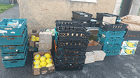 A stack of crates and fruit boxes