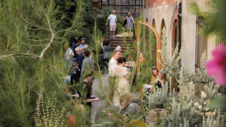 Decorative image of an outdoor area