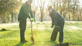 Beuys' Acorns: The Seventh Oak