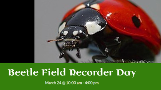 Beetle Field Recorder Day