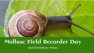 Mollusc Field Recorder Day