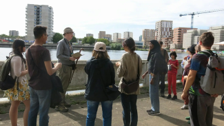 Thamesmead Wander Walk Summer