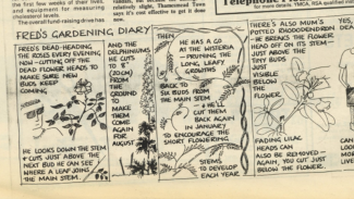 Make a Comic Strip with Chloe Cooper