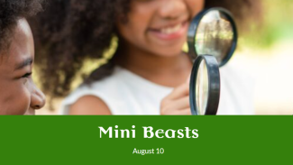 Mini Beasts