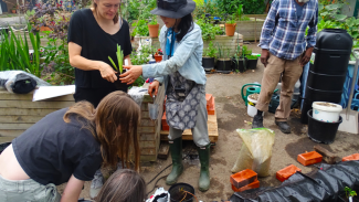 Workshop: creating clay pond creatures with Miyuki Kasahara