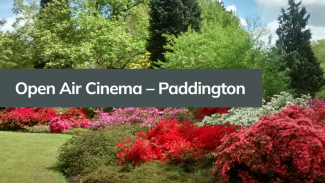 Open Air Cinema – Paddington