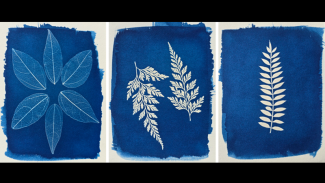 Botanical Cyanotype Workshop with Selina Mayer