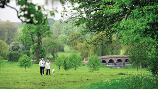 Footscray Meadows