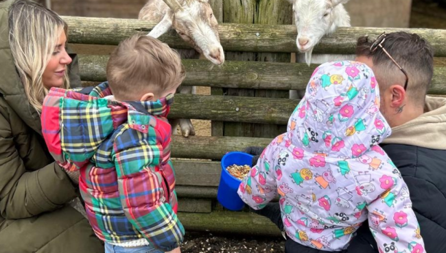 Feeding animals at the farm