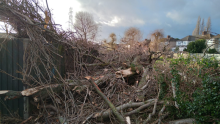 Image of Little Birches Sidcup following Storm Henk