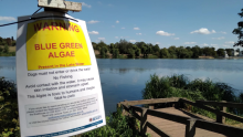 Danson Lake with a 'closed' sign 